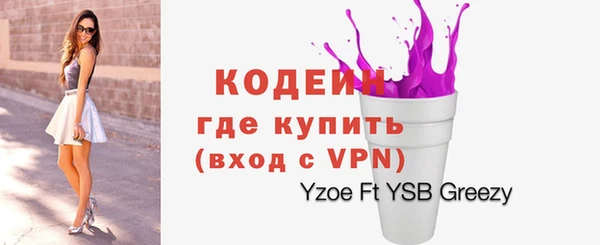 прущие грибы Корсаков