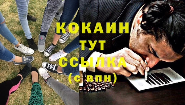 мяу мяу мука Алзамай