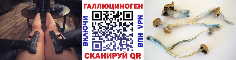 где купить наркотик Малаховка Псилоцибиновые грибы MAGIC MUSHROOMS